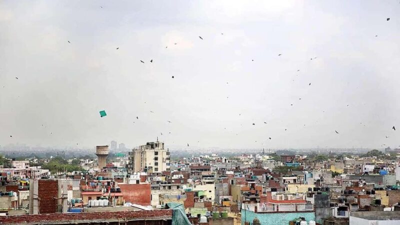 Delhi: Kite Flying in Old Delhi-A Journey Through the Skies - What to Expect from the Experience