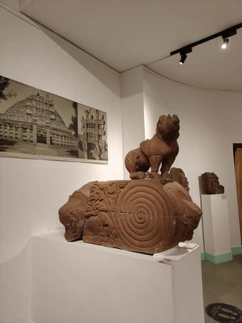 Delhi: National Museum Tour - The optional Special or Temporary Exhibits