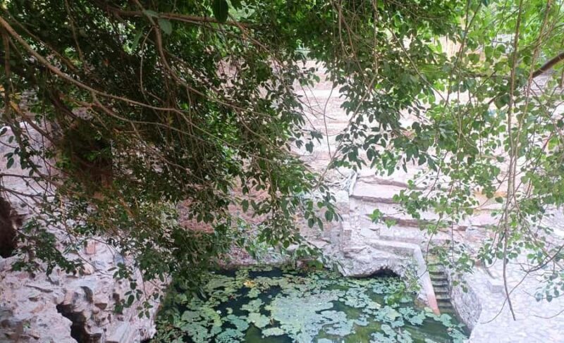 Delhi: Northern Ridge Walk with Tibetan Colony Tour - An Authentic Glimpse of Delhis Less Touristed Corners