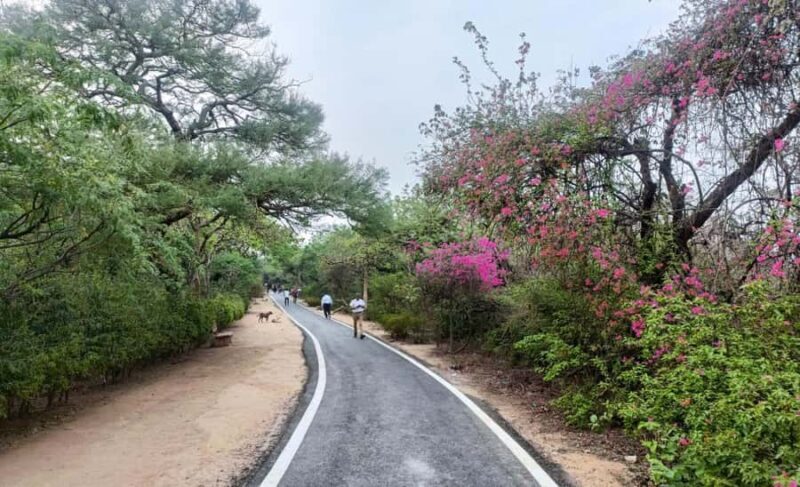 Delhi: Northern Ridge Walk with Tibetan Colony Tour - Value and Pricing