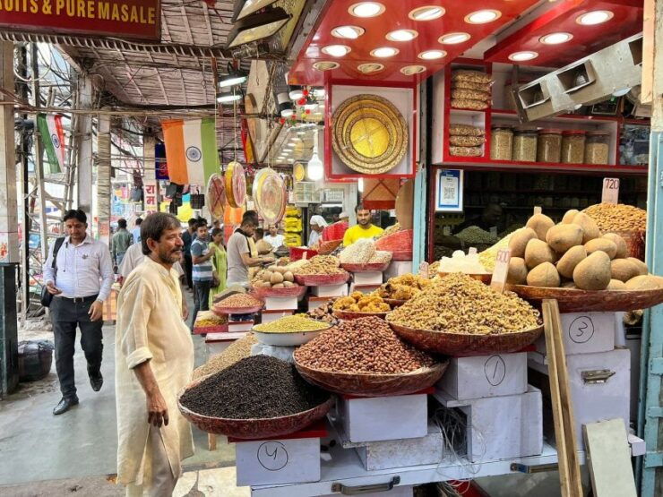 Delhi: Old and New Delhi City Private Day Tour - Tour Details