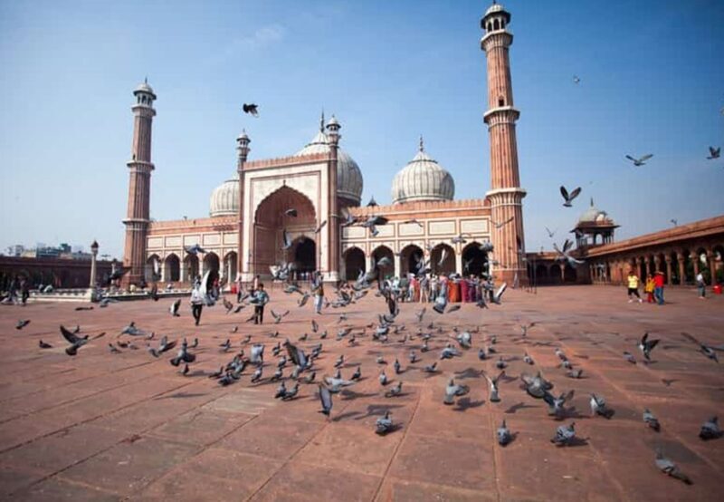 Delhi: Old and New Delhi Guided Full or Half-Day Tour - The Experience from a Reviewer’s Perspective