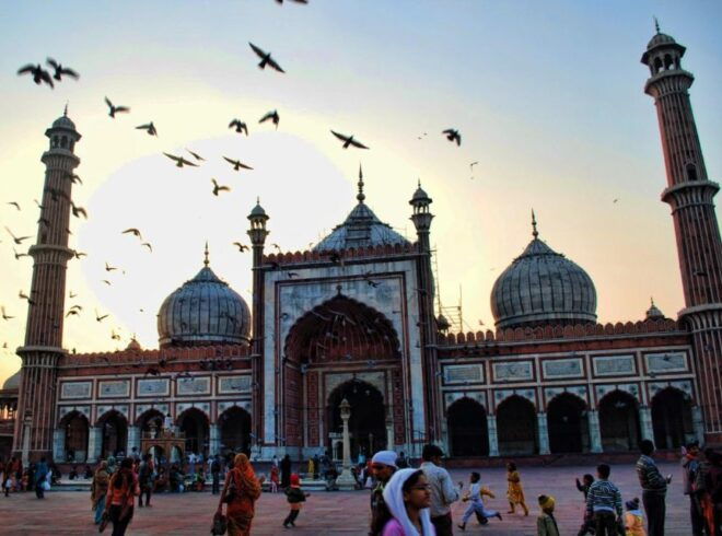 Delhi: Old and New Delhi Private City Tour and Transfer - Important Information