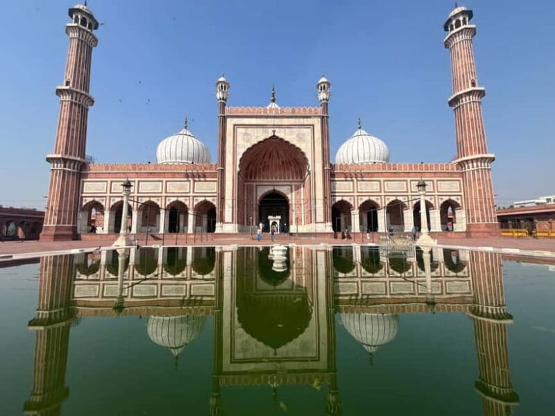 Delhi: Old and New Delhi Private Full or Half-Day Tour - Exploring Delhi: A Deep Dive into the Tour