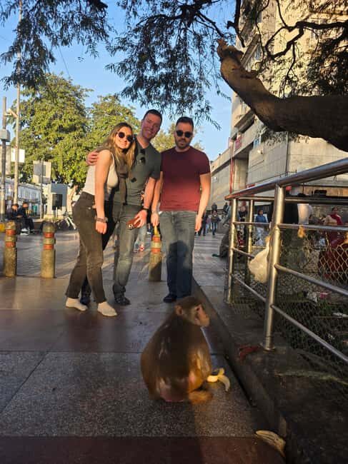 Delhi: Old Delhi & New Delhi Full & Half Day Private Tour - Transportation and Logistics