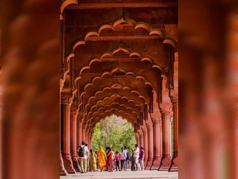 Delhi: Old & New Delhi Private Full or Half-Day Guided Tour - What to Expect on Your Delhi Tour