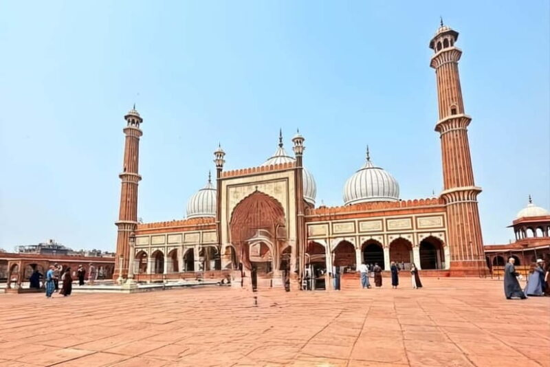 Delhi: Old & New Delhi Private Guided Full or Half-Day Tour - Who Is This Tour Best For?