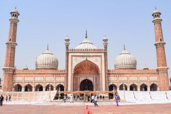Delhi: Old & New Delhi Private Guided Full or Half-Day Tour - Flexible Itinerary