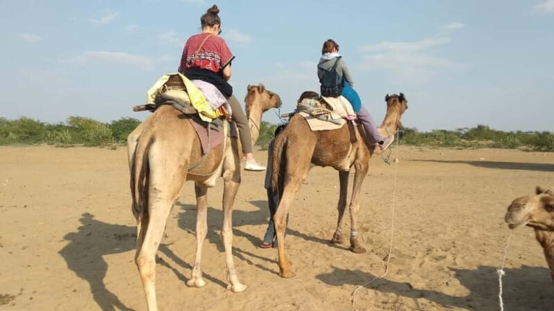 Delhi : One Day Sightseeing Tour - Good To Know