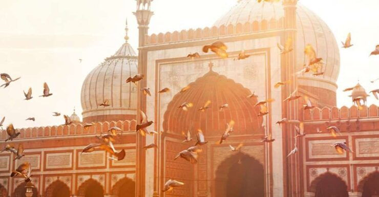 Delhi: Private Day Tour of Old and New Delhi - Tour Details