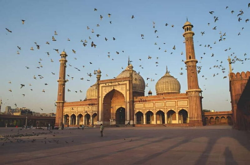 Delhi: Private Full-Day Tour of Old & New Delhi - A Deep Dive into the Delhi Private Full-Day Tour Experience