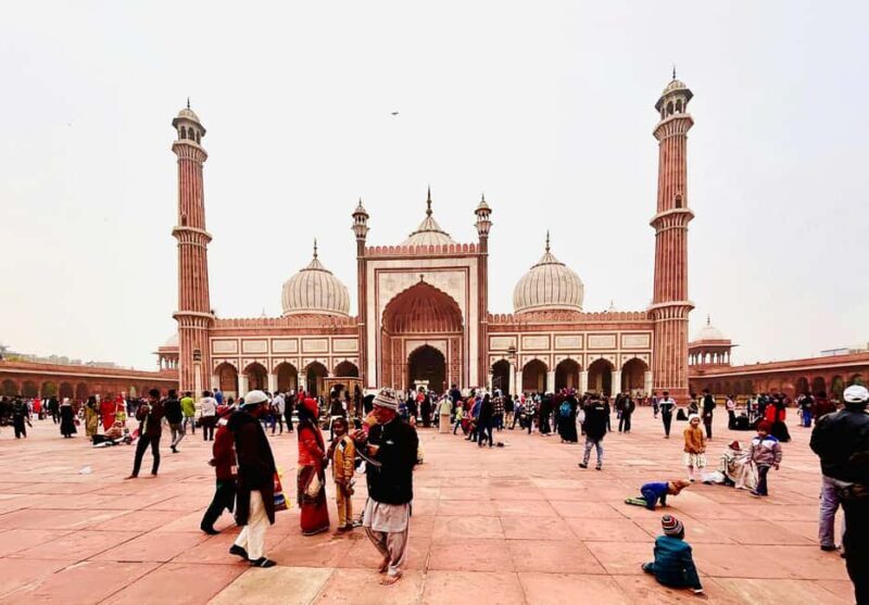 Delhi: Private Full or Half-Day Trip of Old and New Delhi - Introduction to the Tour Experience