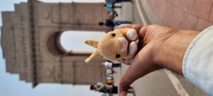 Delhi: Private Guided Instagram Photographery Tour in Delhi - Tour Details