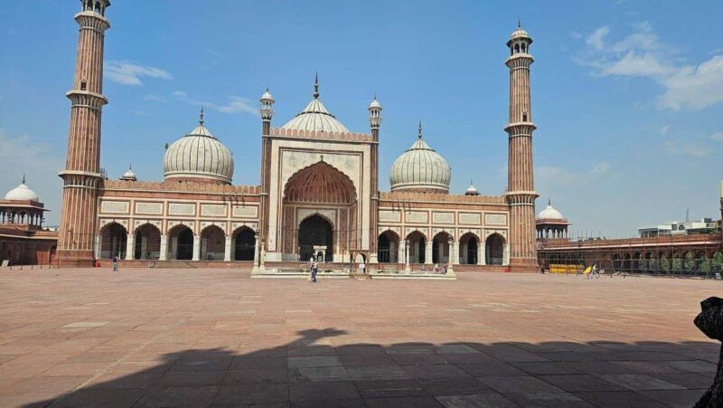 Delhi: Private Old and New Delhi Day Trip with Guide - An In-Depth Look at the Tour Experience