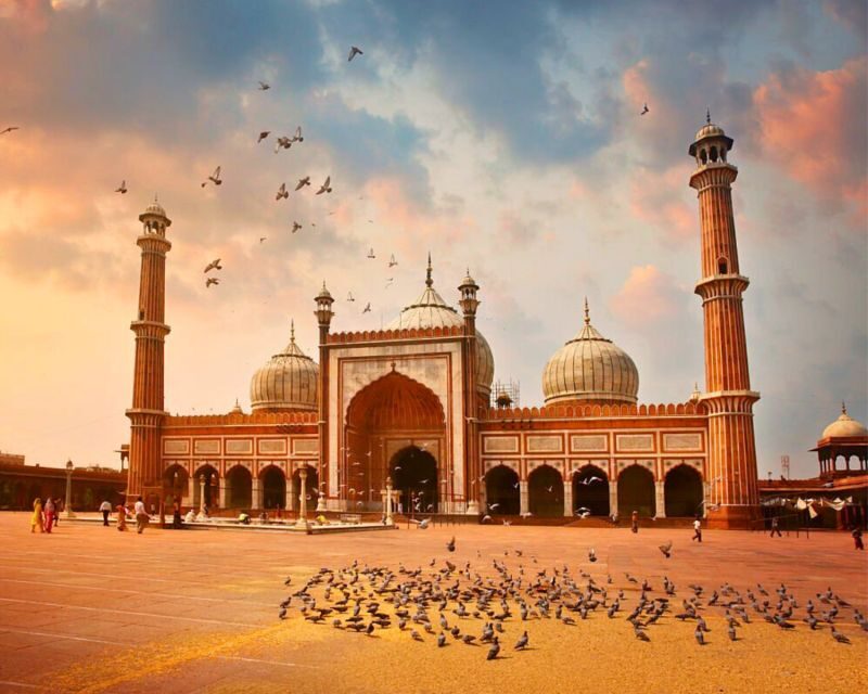 Delhi: Private Old and New Delhi Full or Half-Day City Tour - Pricing & Overall Value