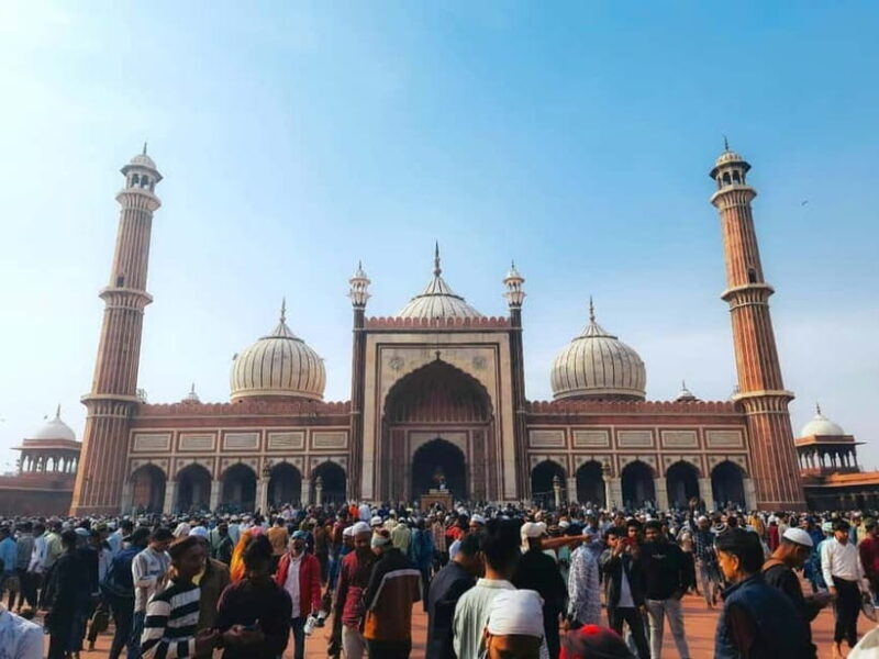 Delhi: Private Old & New Delhi Tour  Full or Half Day - A Balanced Look at the Delhi Private Tour