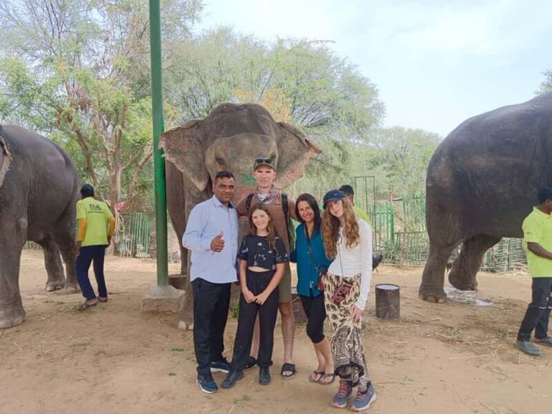 Delhi : Private Taj Mahal with Elephant Sanctuary Tours - Visiting the Taj Mahal