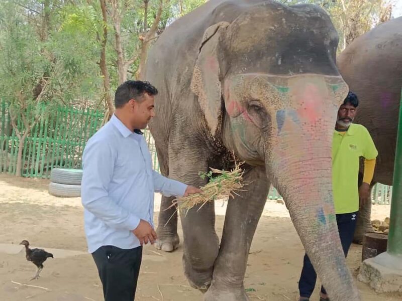 Delhi : Private Taj Mahal with Elephant Sanctuary Tours - Introduction: What to Expect from the Tour