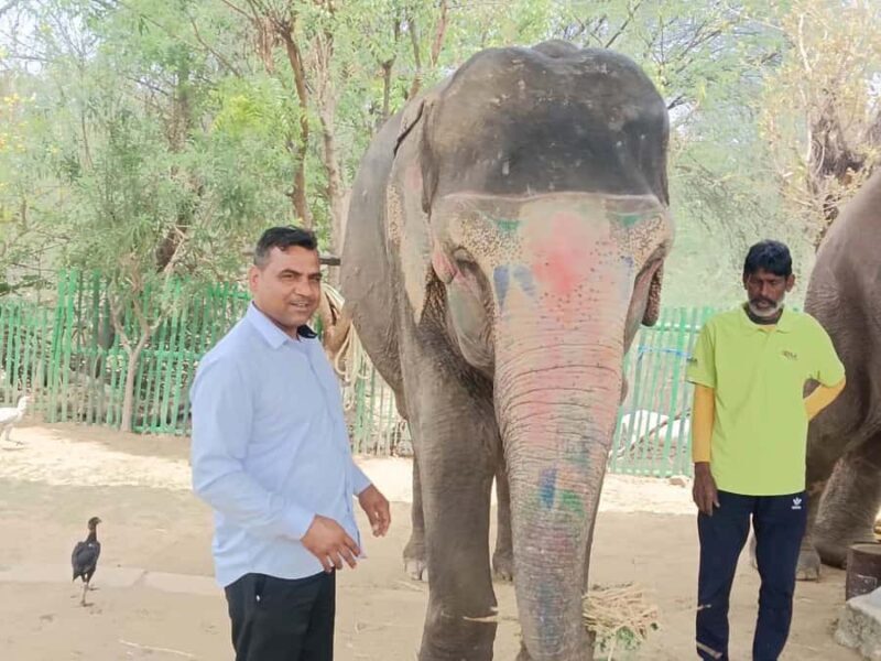 Delhi : Private Taj Mahal with Elephant Sanctuary Tours - Why This Tour Offers Good Value