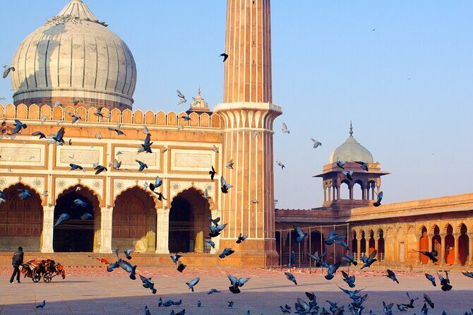 Delhi: Private Tour of Old and New Delhi with Hotel Pickup - FAQ