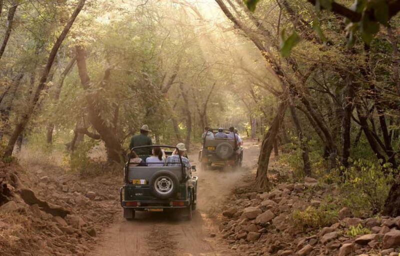 Delhi: Ranthambore National Park 3-Day Tour with Safari. - Why Choose This Ranthambore Safari Tour?