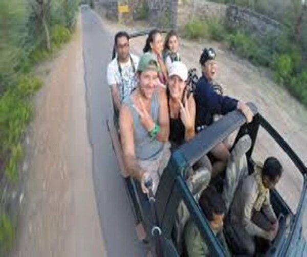 Delhi: Ranthambore National Park 3-Day Trip W/ Tiger Safari - Frequently Asked Questions