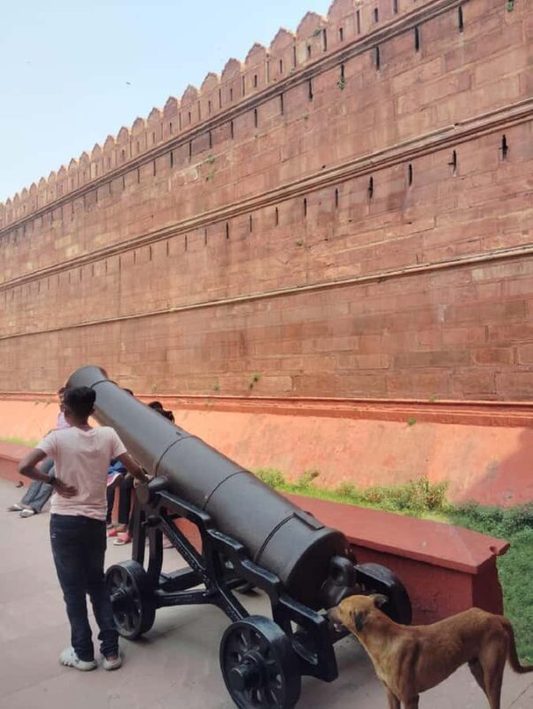 Delhi: Red Fort With Museum Skip-the-Line Tour - Who Should Consider This Tour?