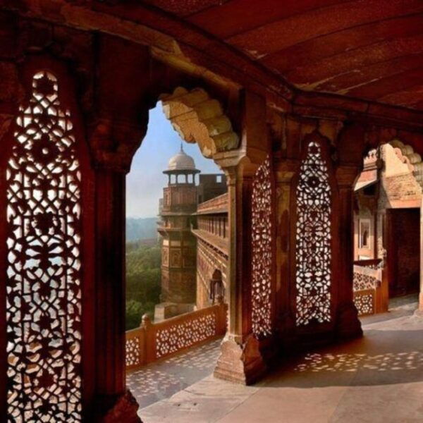 Delhi: Same Day Agra & Fatehpur Sikri Tour by Shatabdi Train - Testimonials