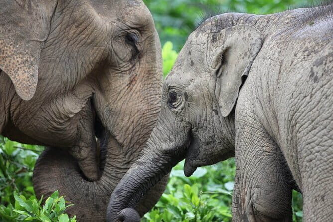 Delhi: Same Day Taj Mahal & Agra Fort Tour with Baby Taj & Lunch - What Sets This Tour Apart?