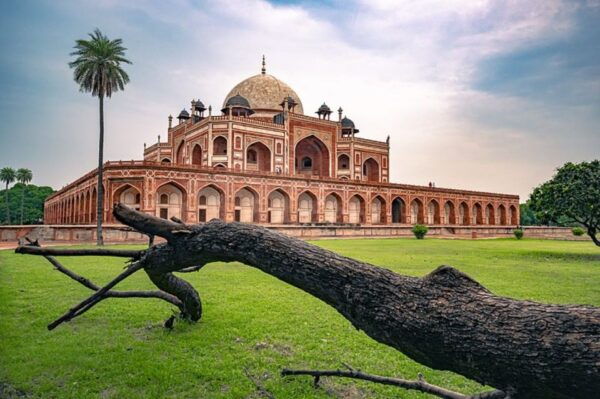 Delhi Sightseeing With Tour Guide - Price and Duration