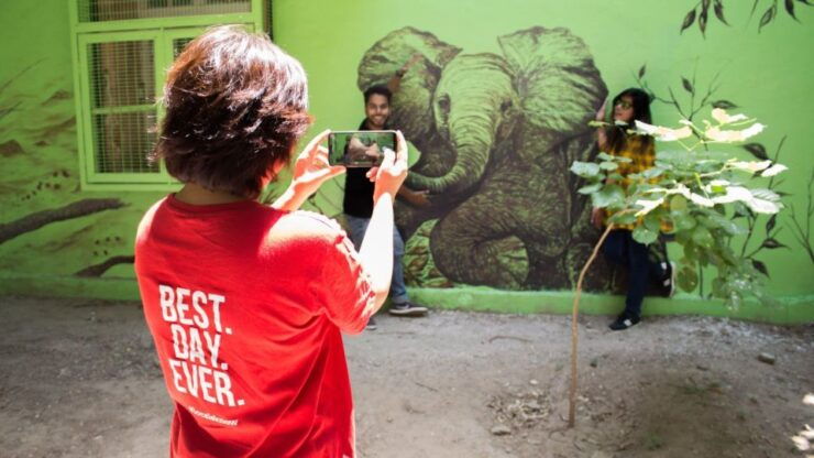 Delhi: Small Group Art, Culture & History Discovery Tour - Tour Details