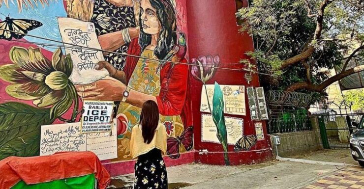 Delhi Street Art Tour With Brunch & Visit to a Stepwell - Tour Highlights