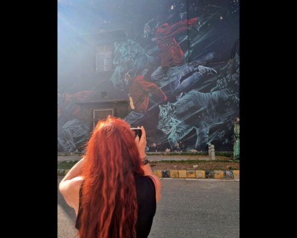 Delhi Street Art Tour With Brunch & Visit to a Stepwell - Itineraries