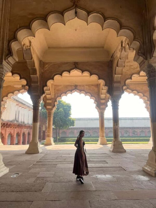 Delhi: Sunrise Taj Mahal & Elephant Rescue - All Inclusive - Authentic Insights from Reviewers