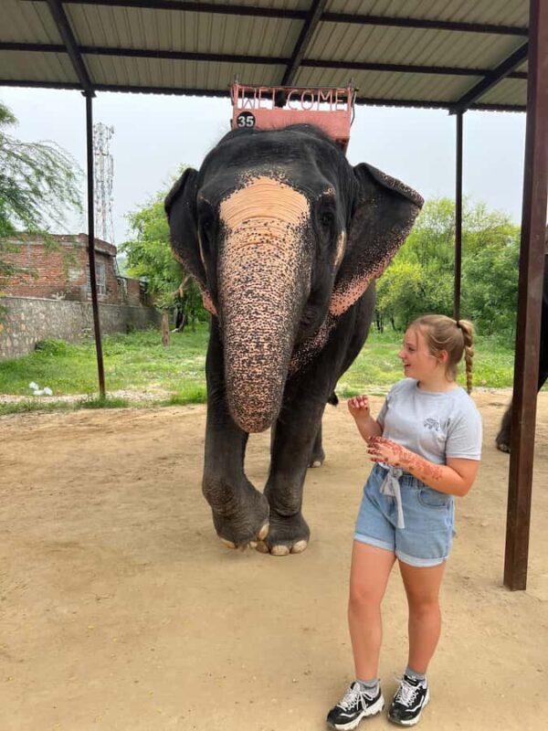 Delhi: Sunrise Taj Mahal & Elephant Rescue - All Inclusive - FAQs