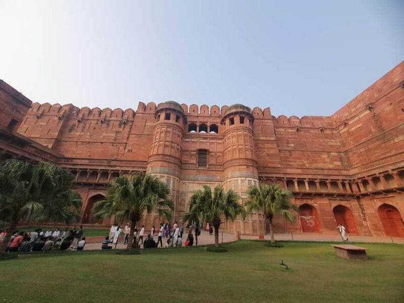 Delhi: Sunrise Taj Mahal & Elephant SOS Tour with Transfers - The Sum Up