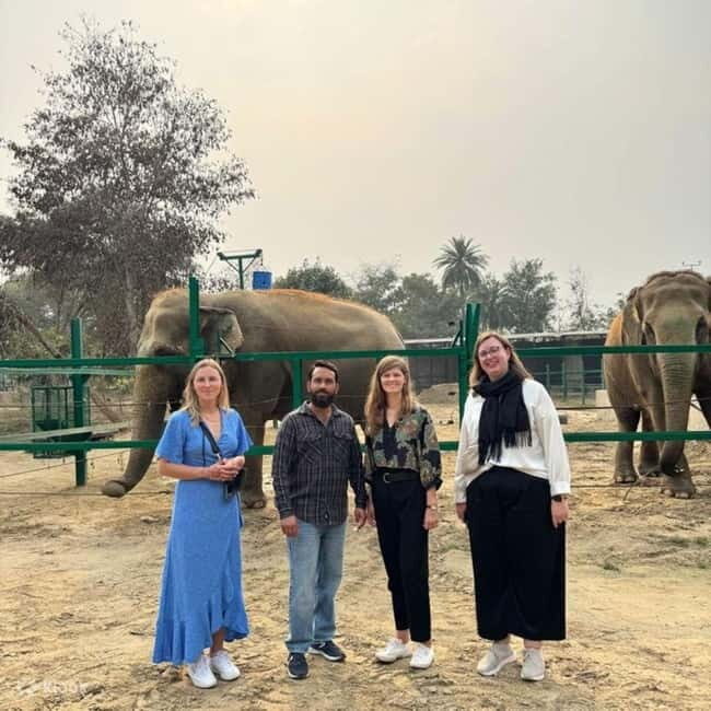 Delhi: Sunrise Taj Mahal & Elephant SOS Tour with Transfers - Unraveling the Day: What You Can Expect