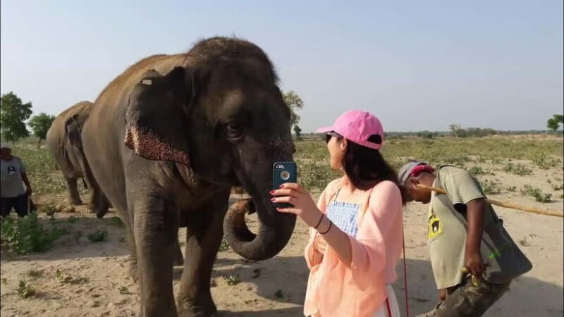 Delhi: Sunrise Taj Mahal & Elephant SOS Tour with Transfers - Who Should Consider This Tour?