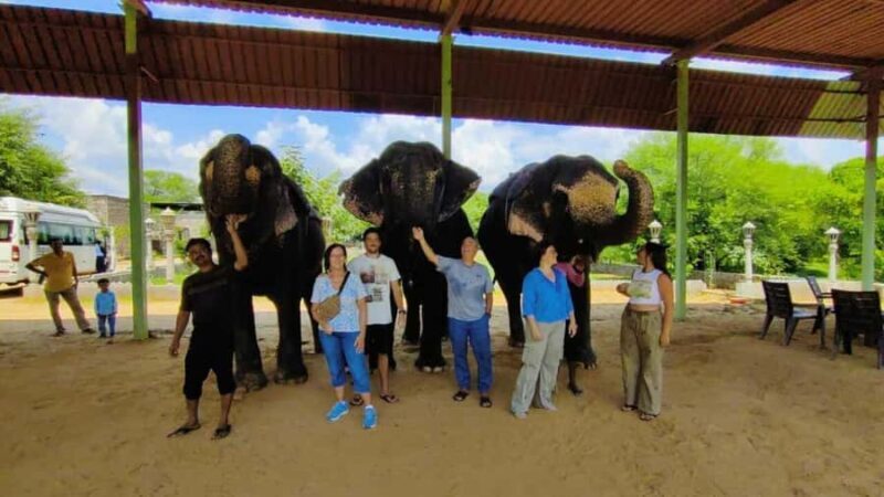 Delhi: Taj Mahal Sunrise Tour with Elephant Conservation - Good To Know