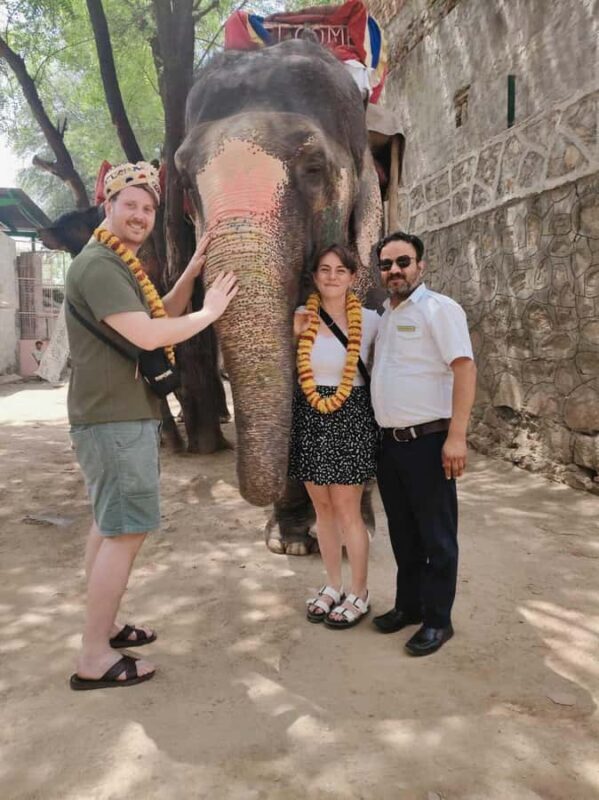 Delhi: Taj Mahal Sunrise Tour with Elephant Conservation - Who Is This Tour Best Suited For?