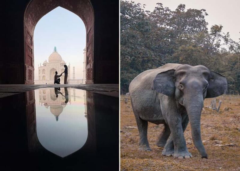 Delhi : Taj Mahal Sunrise Tour with Elephant SOS Center - Practical Details & Tips