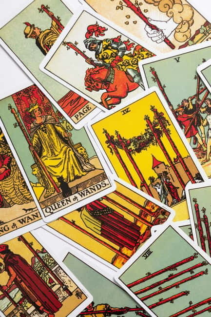 Delhi: Tarot Card Reading Experience - What to Expect from Your Tarot Card Reading in Delhi