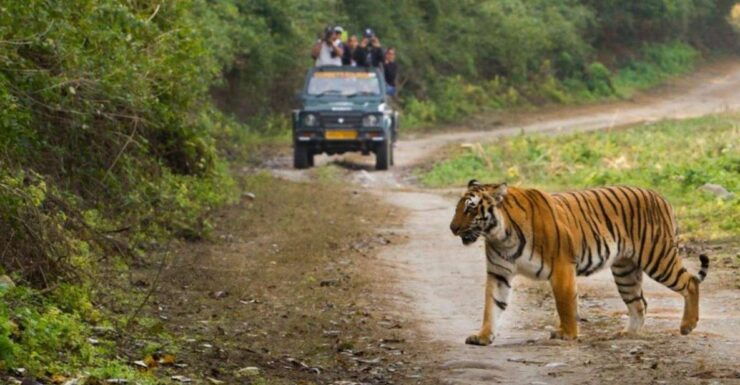 Delhi to Jim Corbett Transfer - Transfer Details