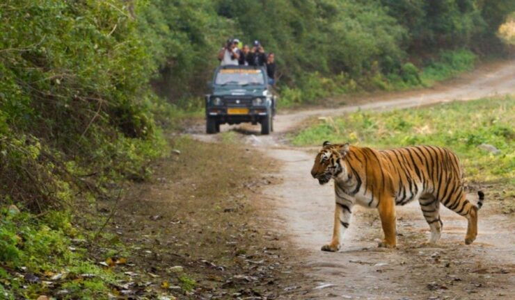Delhi to Jim Corbett Transfer - Booking Information