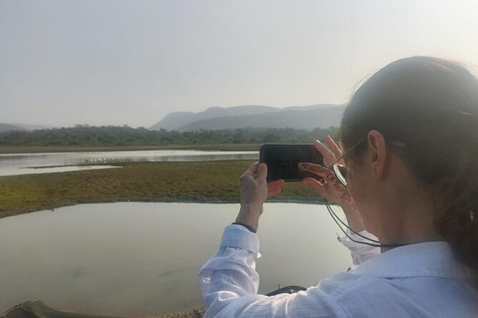 Delhi to Sariska National Park: A Thrilling Wildlife Excursion - Good To Know