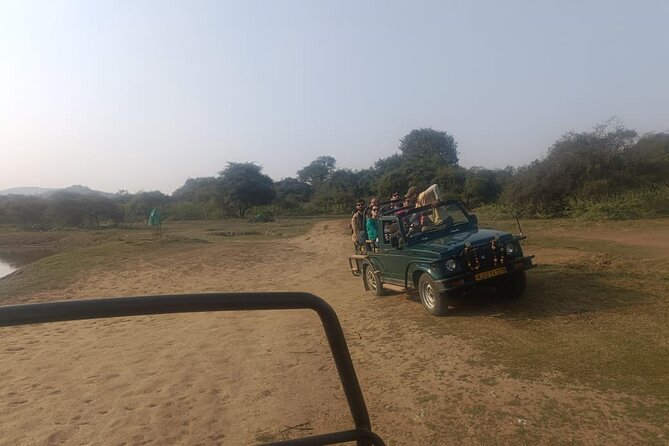 Delhi to Sariska National Park: A Thrilling Wildlife Excursion - Pricing and Booking
