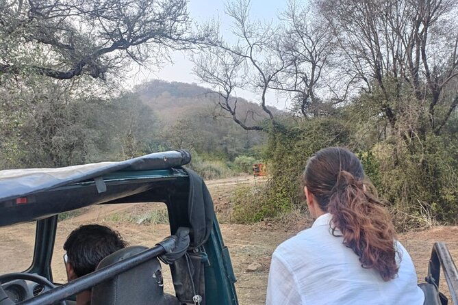 Delhi to Sariska National Park: A Thrilling Wildlife Excursion - Exclusions