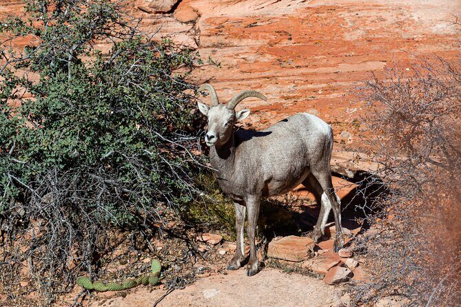 Delicate Arch Trail Self-Guided Audio Walking Tour - The Sum Up: Who Will Love This Tour?