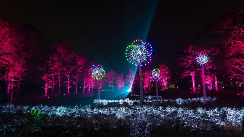 Delight Park Ticket in Dalat - Au Lac Epic: a 45-minute water and light show