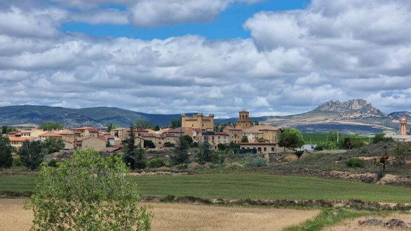 Delivery Bike Rental and Guided Tours in La Rioja - Rental Bike Options